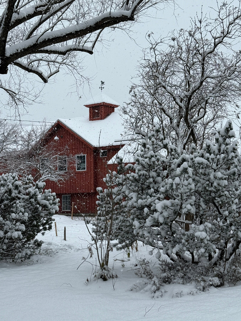 Winter on the Farm