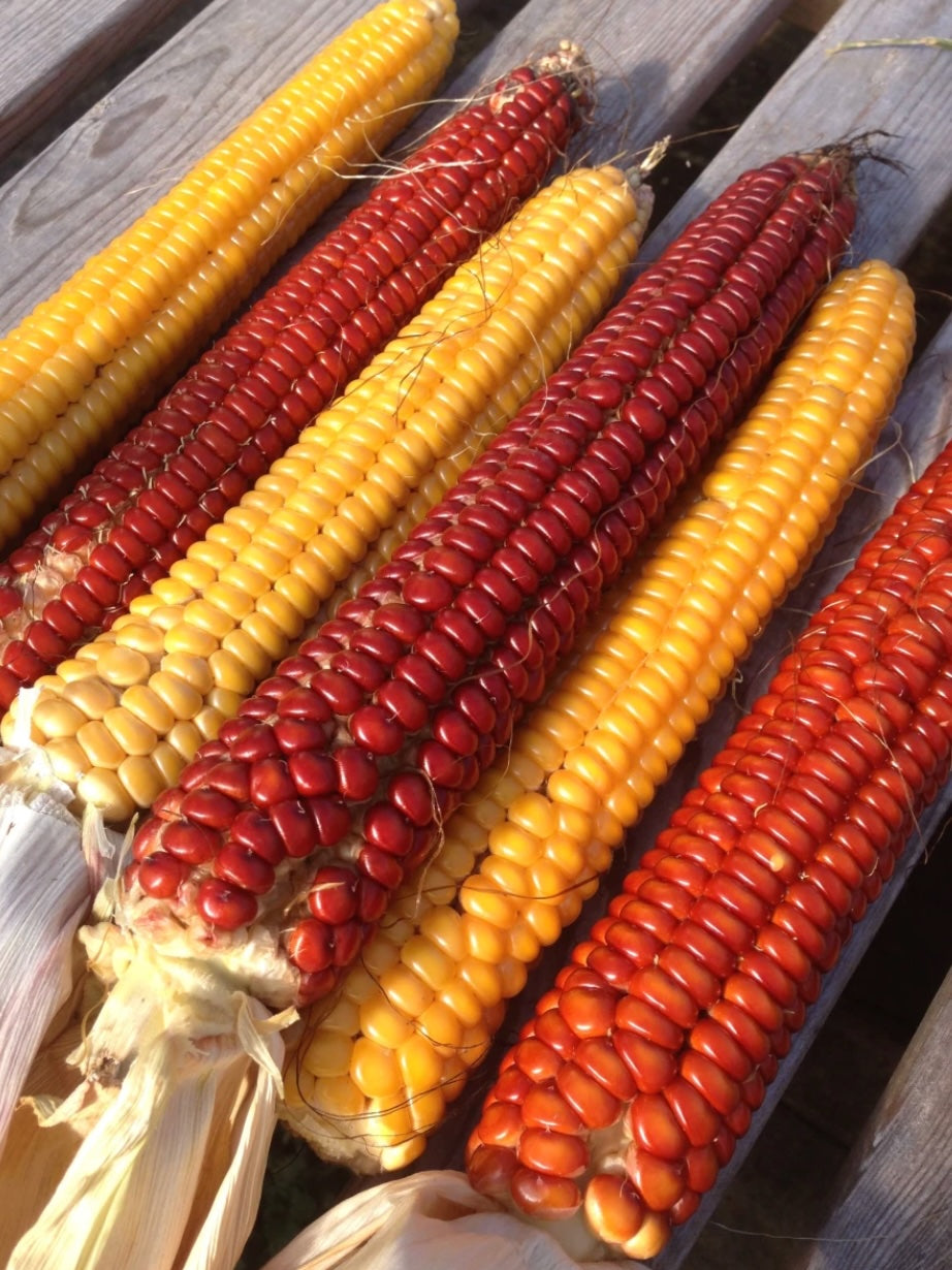 Abenaki Flint Cornbread Mix