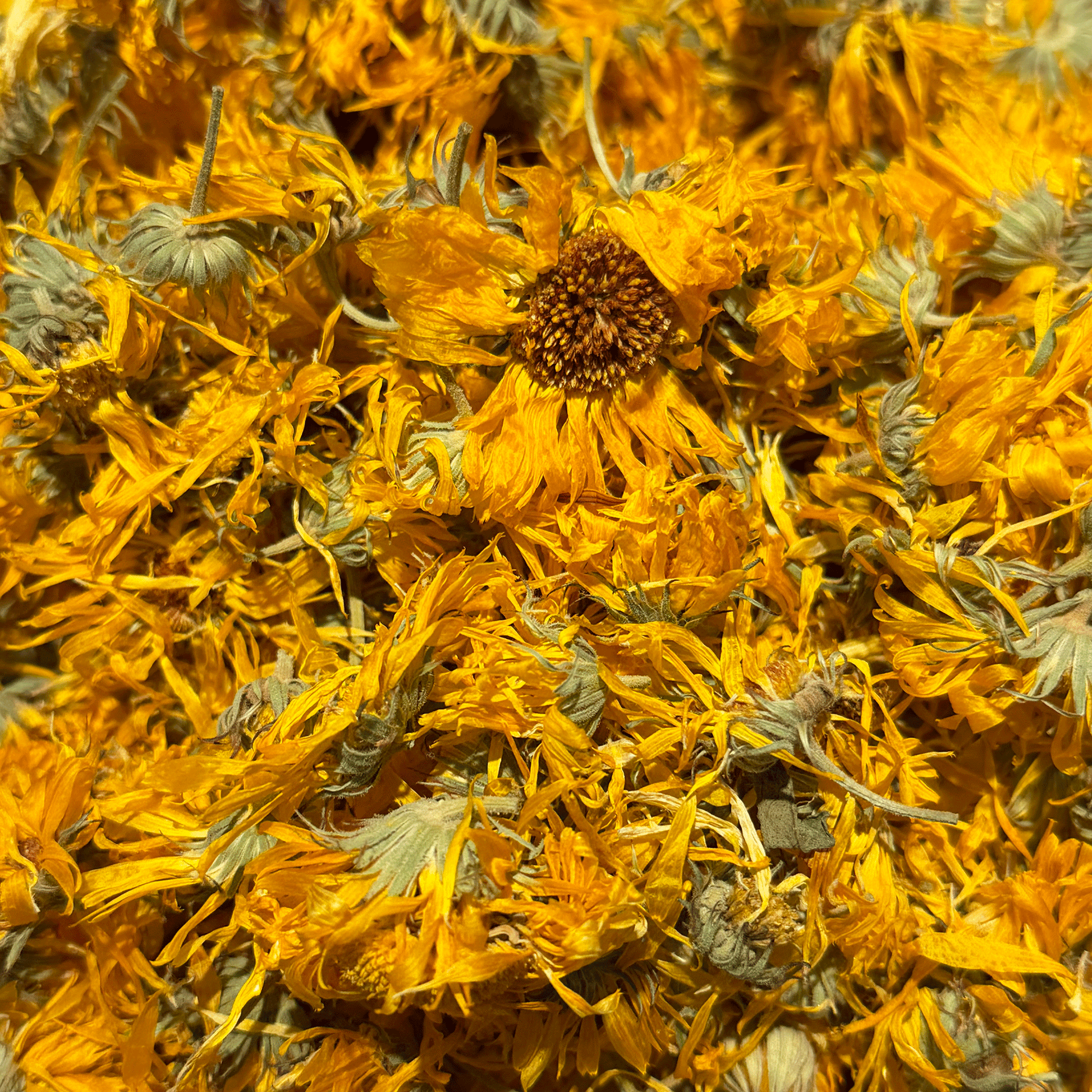 Organic Dried Calendula Blossoms