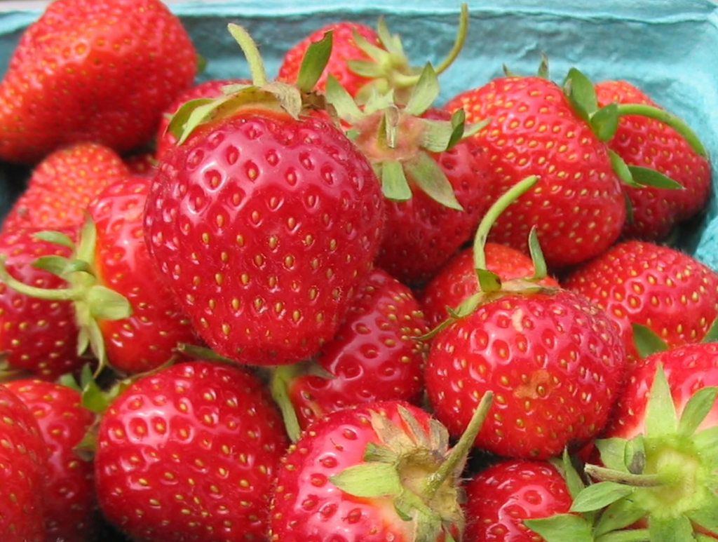 Strawberry Rhubarb Jam