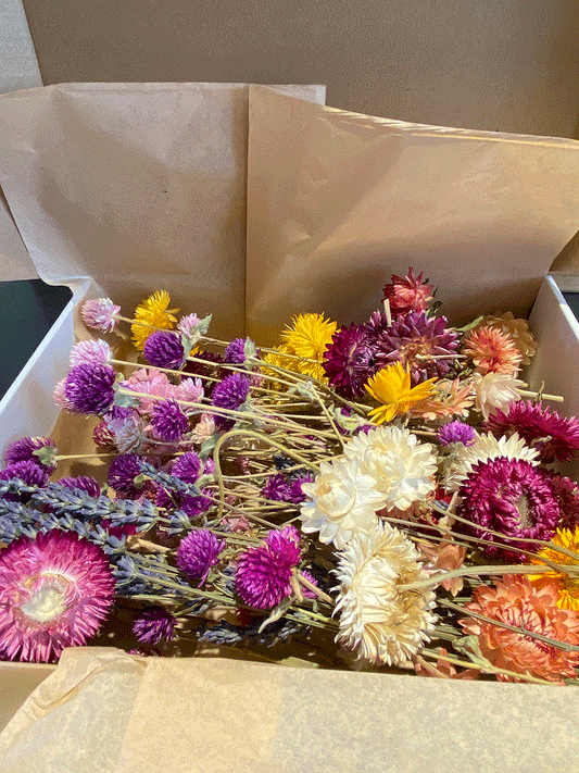 Natural Dried Flower Crafts Box