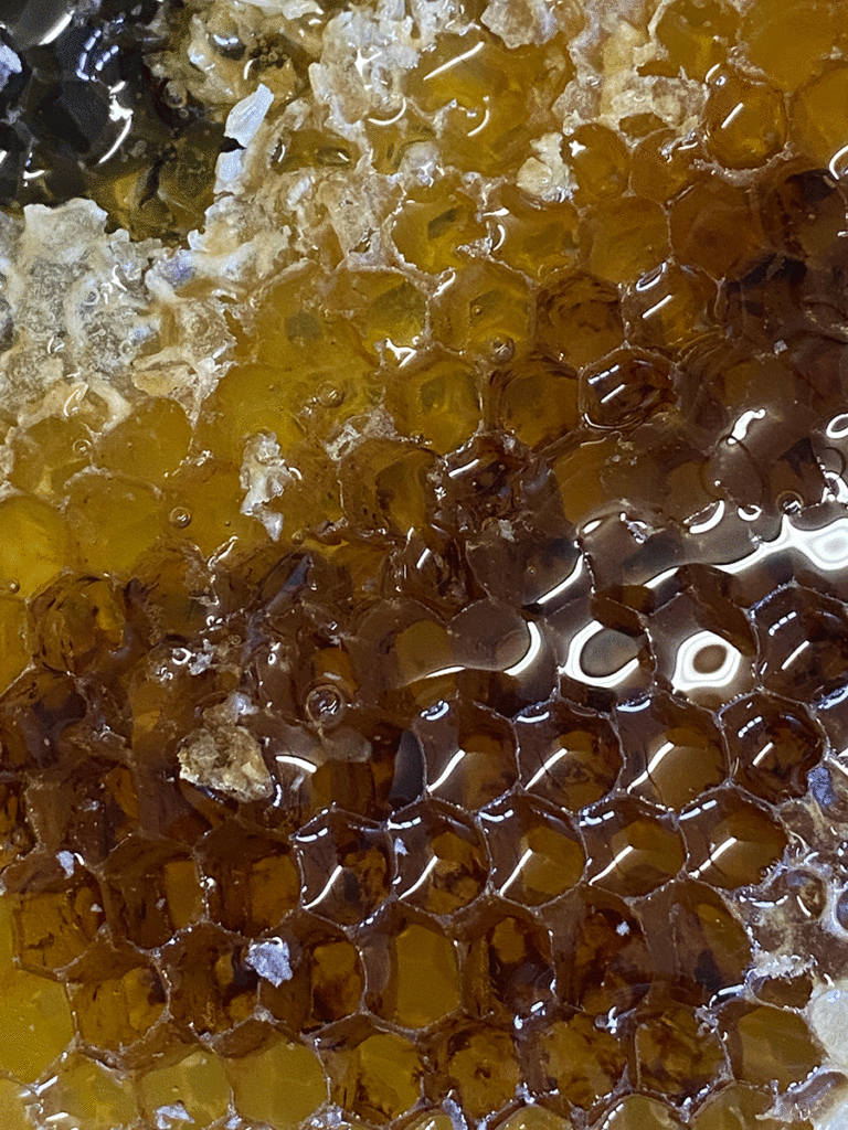 Crystalized Farm Honey