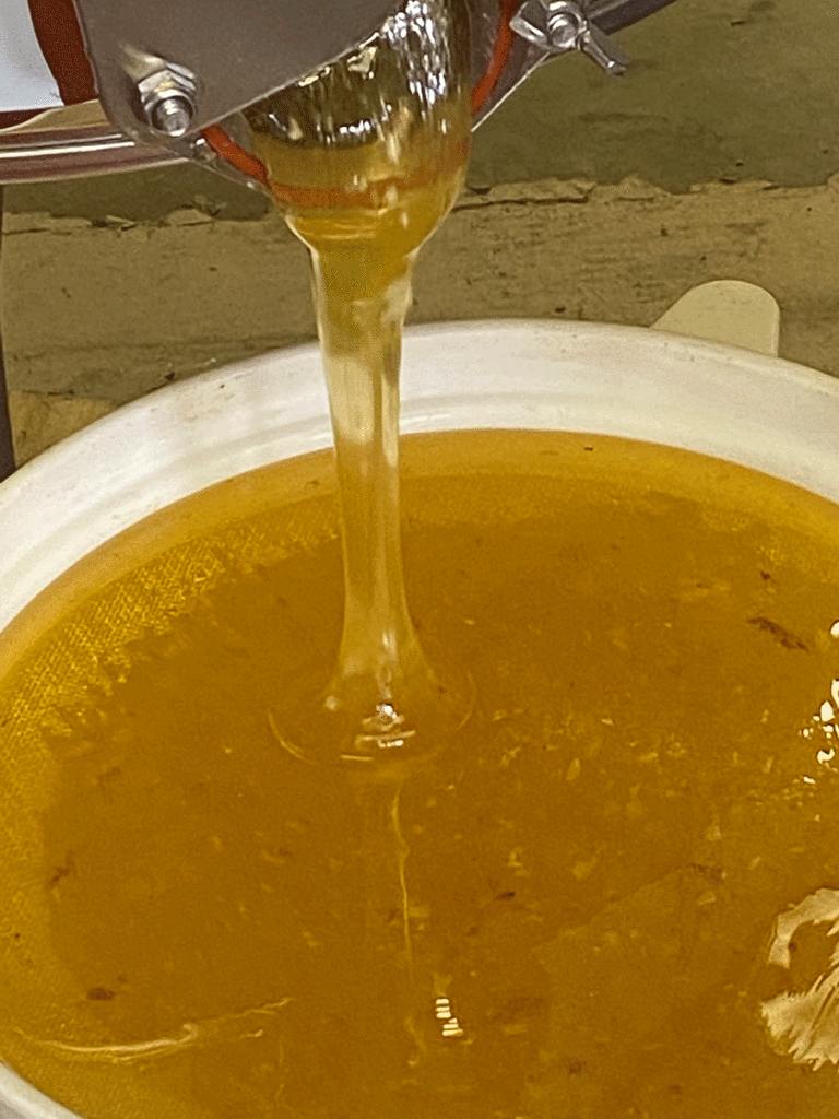 Crystalized Farm Honey