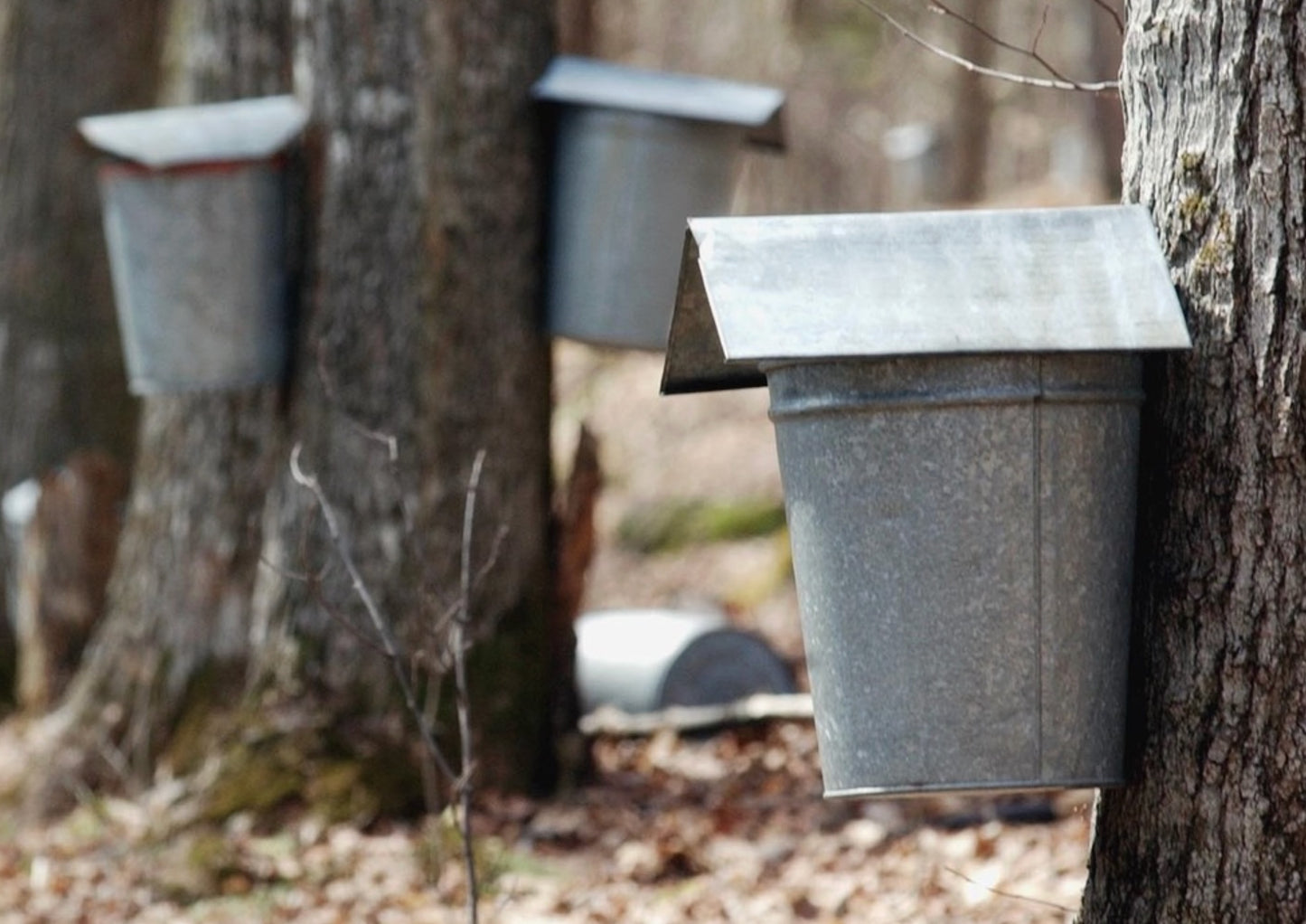 Butterfly Bakery's Maple Rum Chipotle Hot Sauce