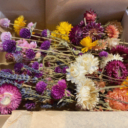 Natural Dried Flowers Craft Box