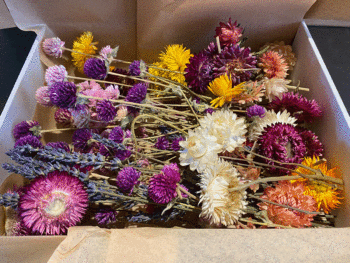 Natural Dried Flowers Craft Box