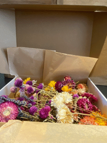 Natural Dried Flowers Craft Box - Image 2